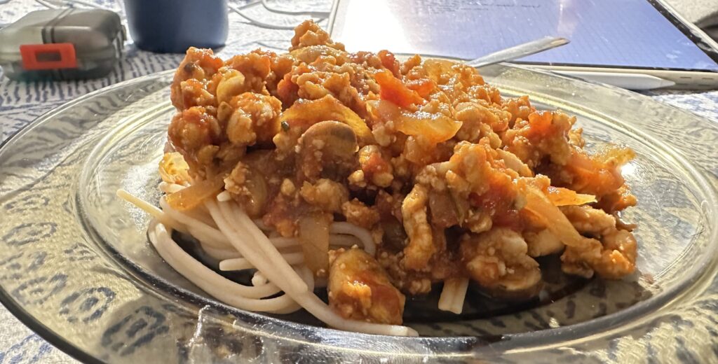 A plate of turkey ragu over lentil noodles