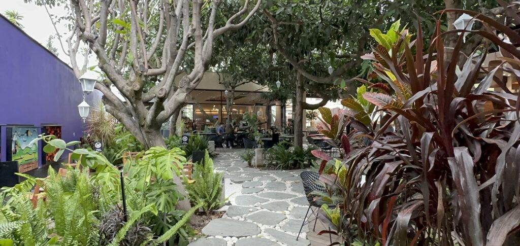pathway through trees and plants