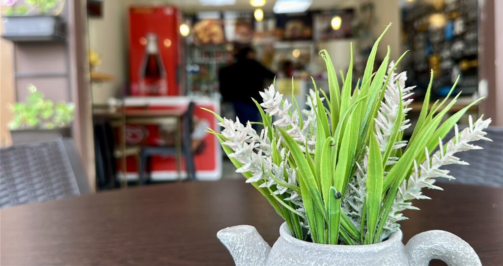 plant on a table in front of a shop