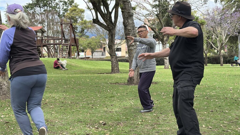 people practicing tai chi in the park