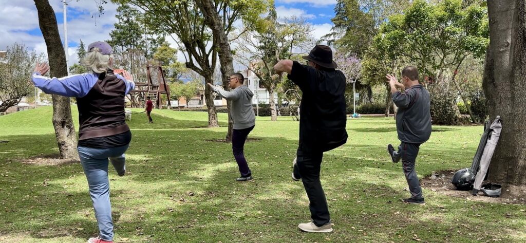 People practicing tai chi in the park
