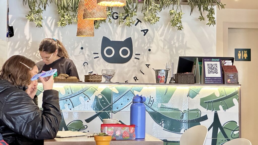 front counter of cafe