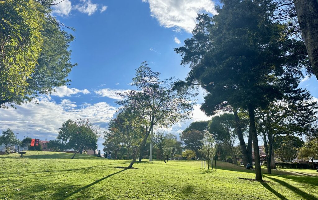 a sunny day at the park