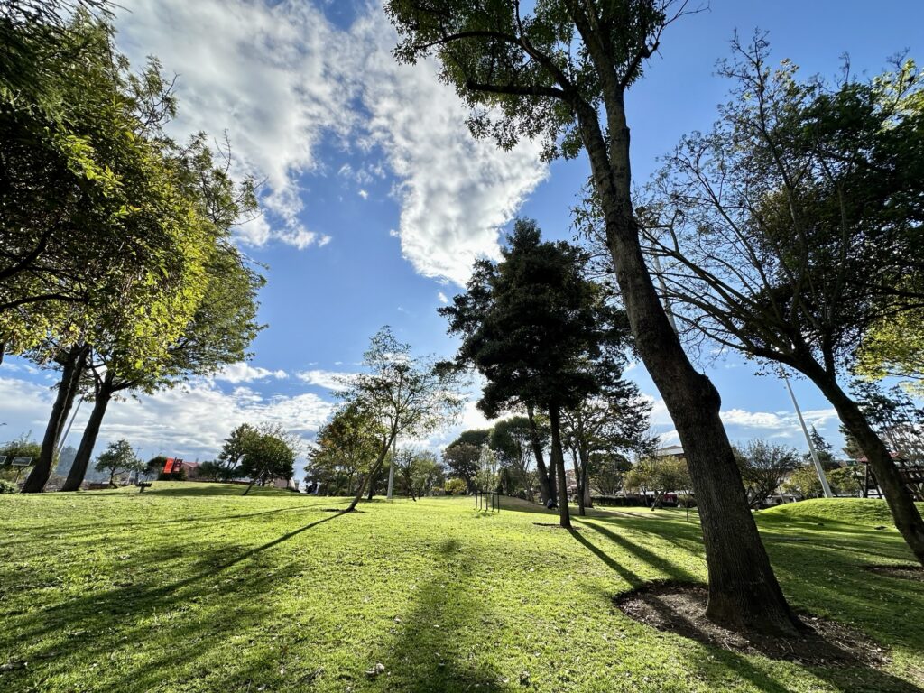 sunny day in the park