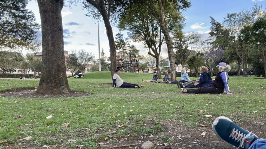 people stretching on the grass