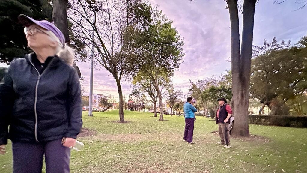 a woman standing while people in the distance chat
