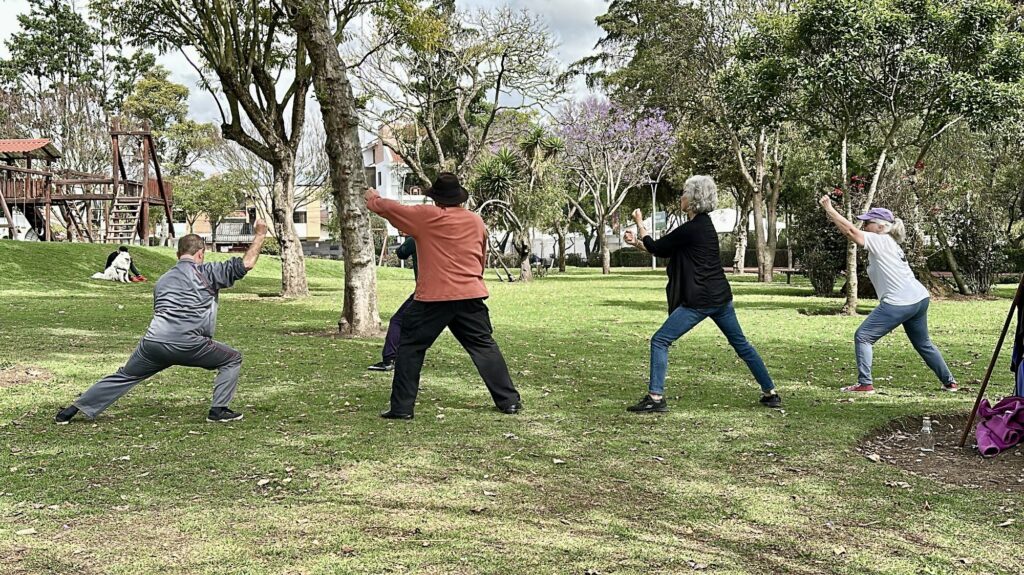 people practicing Tai Chi in a park