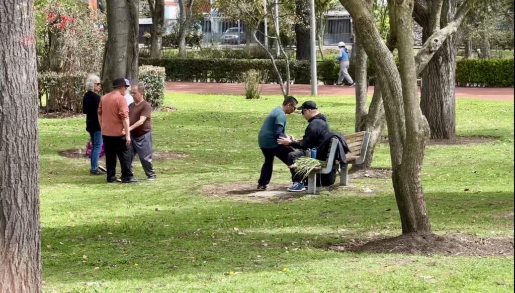 two men practicing Tai Chi in a park