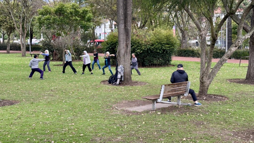 Following along with Ba Duan Jin Qi Gong exercises