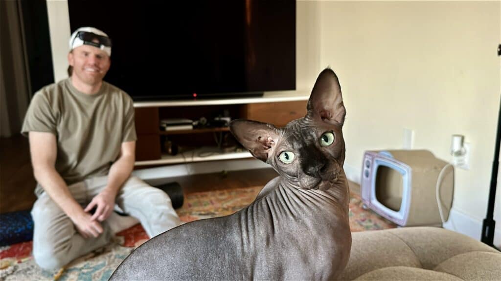 A man and a sphynx cat