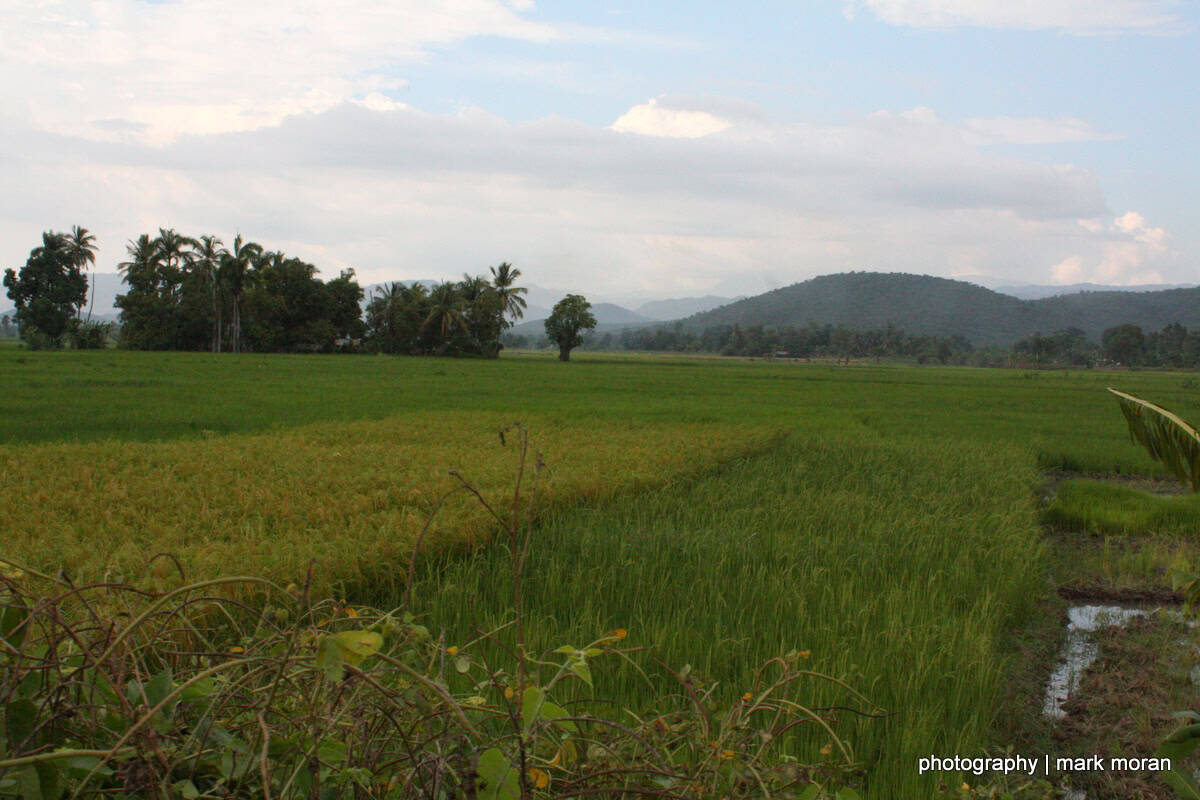 Looks a lot like South East Asia (Day 6: Thu, 9/17)
