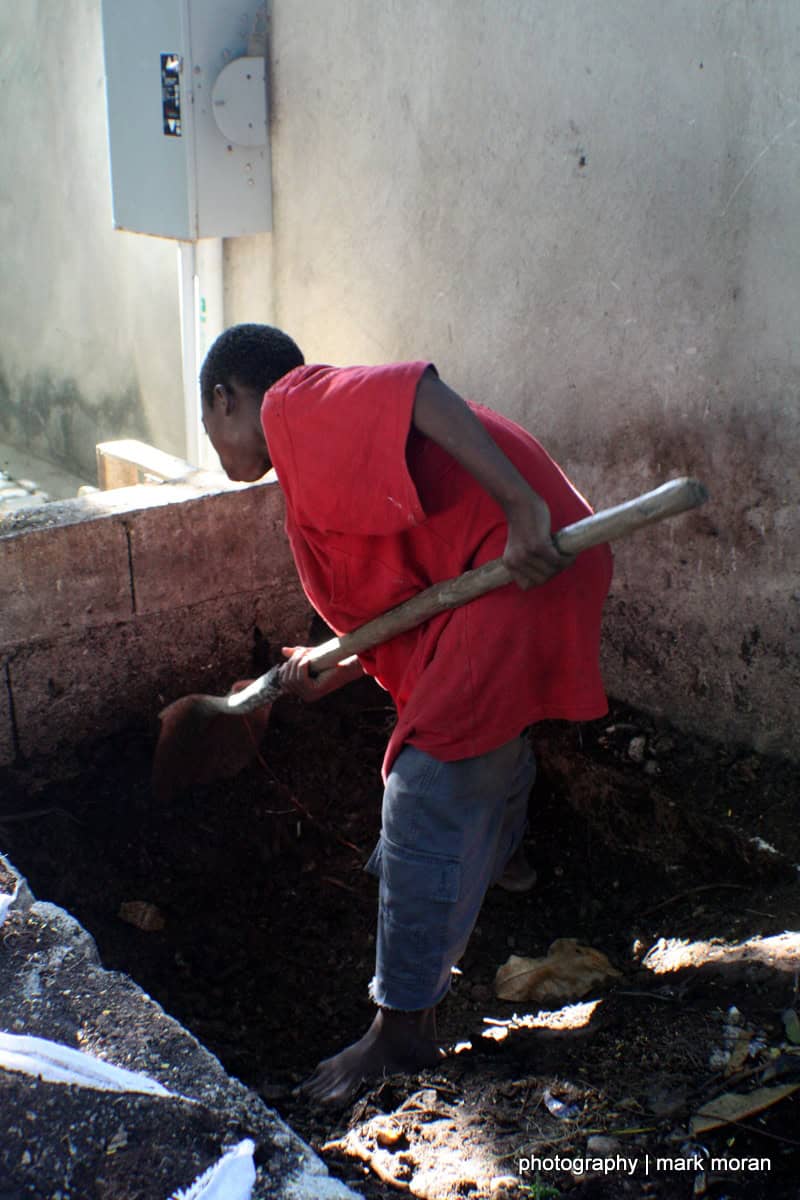 Digging (Day 8: Sat, 9/19)